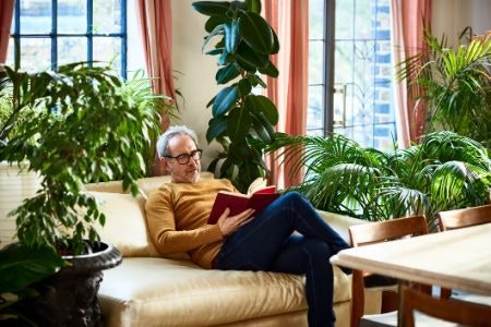 Looking for More Book Shelf Additions?