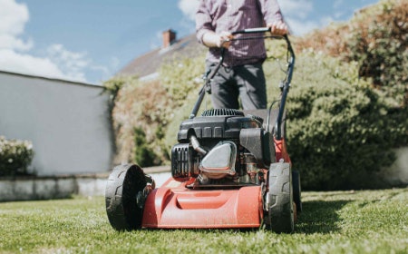 Keep Your Lawn Healthy and Green