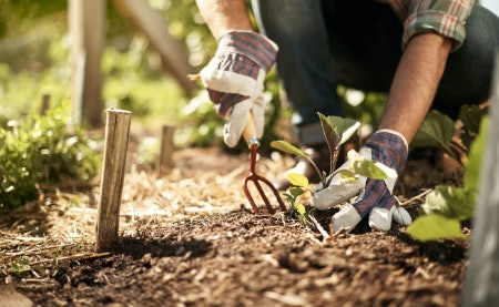 More Great Garden Tools