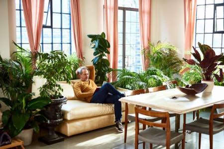 What Are Air-Purifying Plants, and Do They Actually Work?