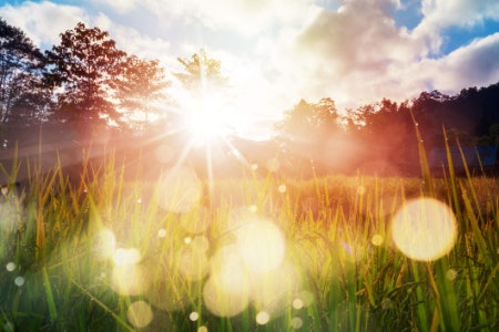 What Are the Benefits of Taking Vitamin D?