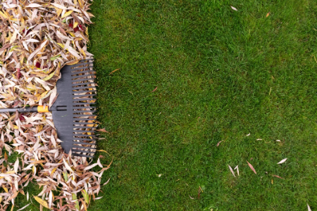 How Do You Clean Artificial Grass? Can You Use a Hoover?