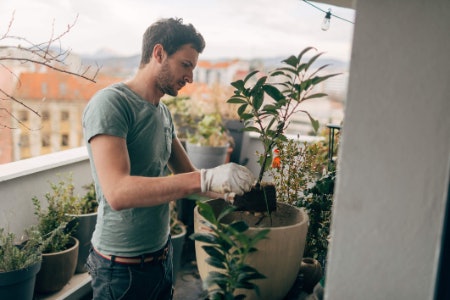 More Help Caring for Your Plants