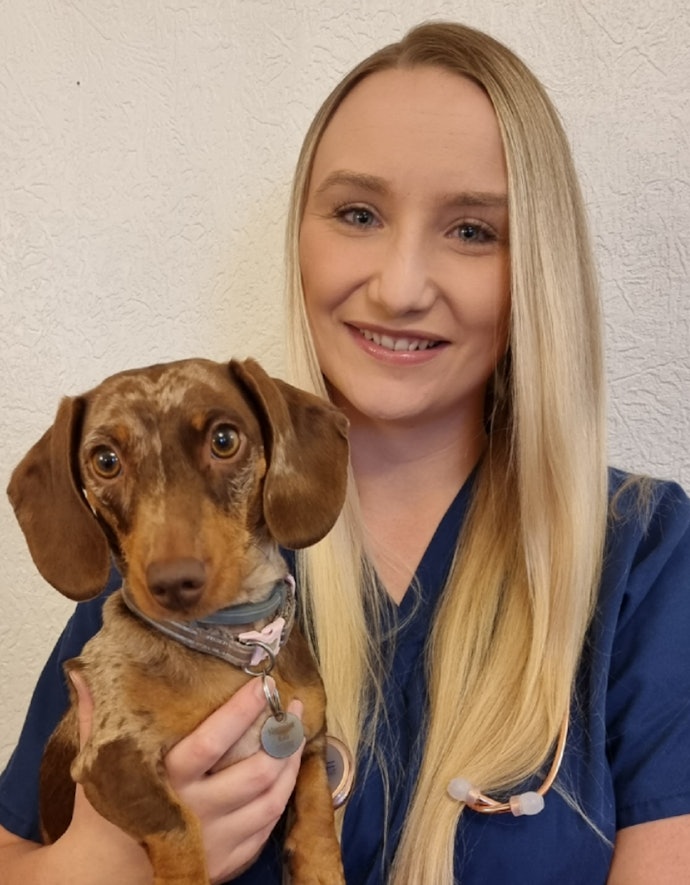 Charlie’s Advice on Good Ear Health for Your Pooch