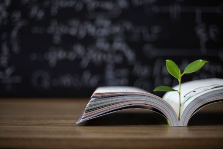 More Books to Self-Teach, Learn and Understand
