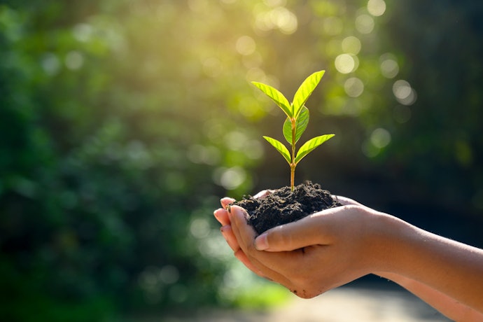 Do Your Bit for the Planet With these Eco-Friendly Products