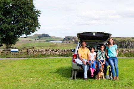 Travelling With Your Dog and the Highway Code