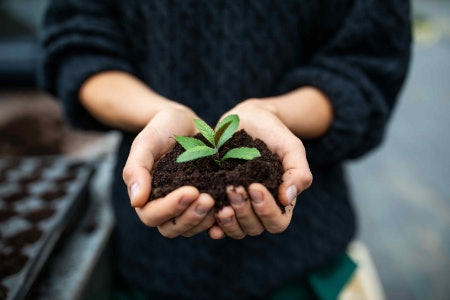 More Green Ideas for Those Who Want to Make a Difference