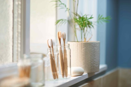 Eco-Friendly Inspo for Greener Living
