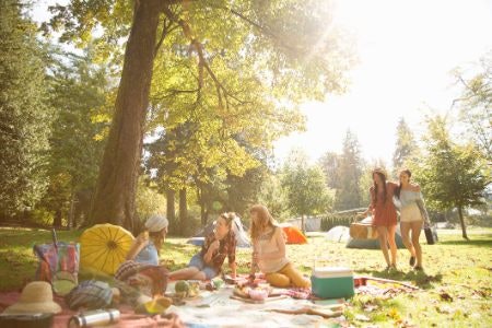 Perfect Picnic Additions