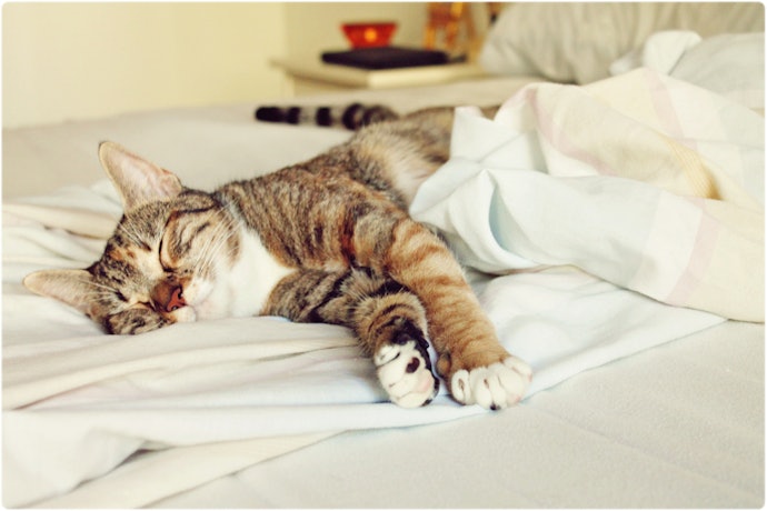 More Products to Help Give You a Restful Night's Sleep