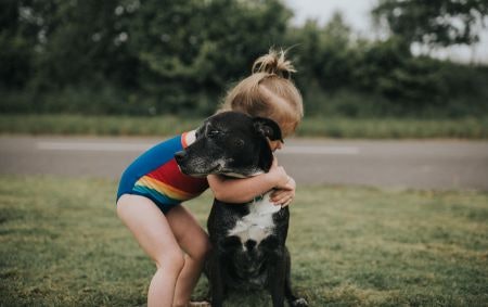 Looking for More Goodies for Your Pooch?