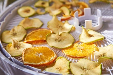 Tips on How to Use Your Food Dehydrator: Recipes and More!