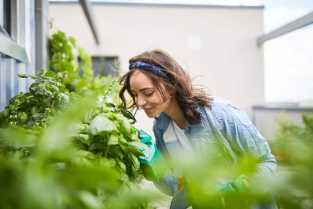 A Few Last-Minute Tips to Get the Most Out of Your Crops