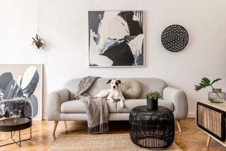 Want Some Help to Decorate Your Living Space?