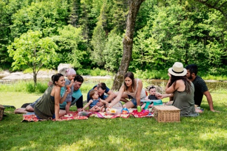 All You Need for Eating Al-Fresco