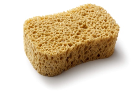 How Does a Sponge Work?