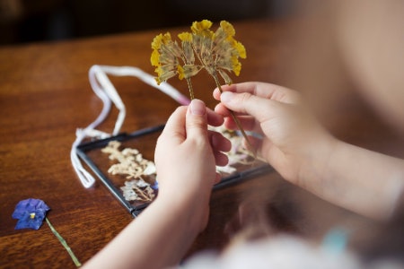 Tips for Getting the Most Out of Your Flower Press