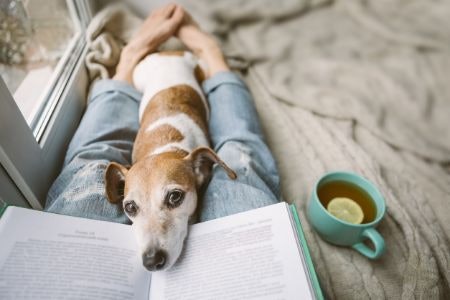 In Search of More Additions to Your Bookshelf? We're Here to Help!