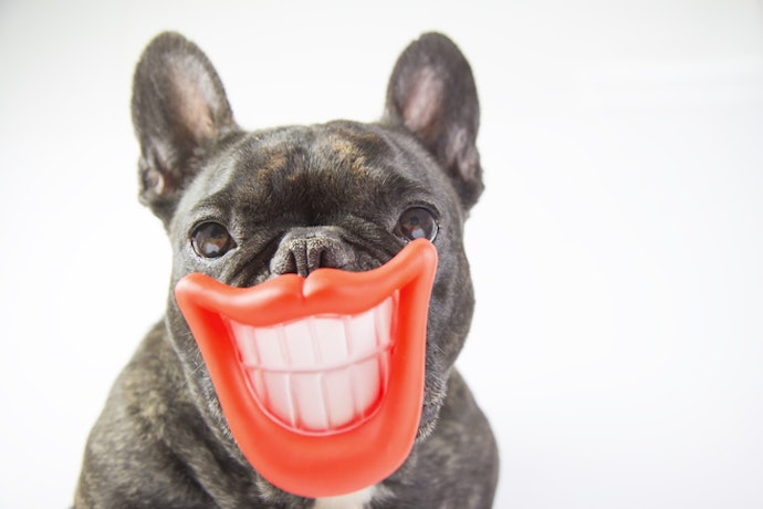 Have a Smile That Could Rival Any Hollywood Star