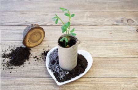 Why Buy Recycled Toilet Paper?