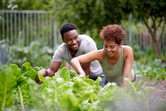Need Some Extra Gardening Gear to Get Growing?