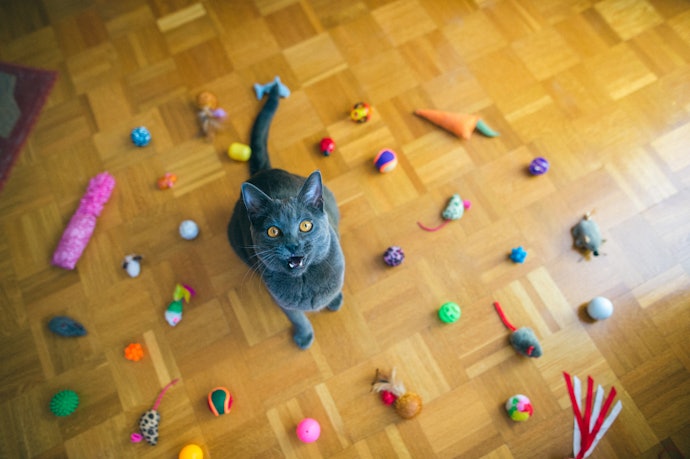 Important Information on Cat Toy Safety