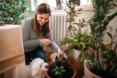 Green Gifts to Brighten Up Your Home
