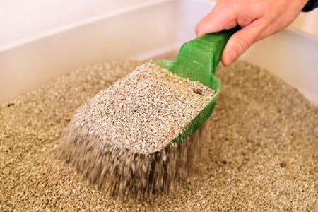 How Often Should You Change a Cat’s Litter?