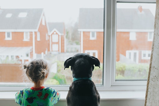 We've Got More For Pet Owners