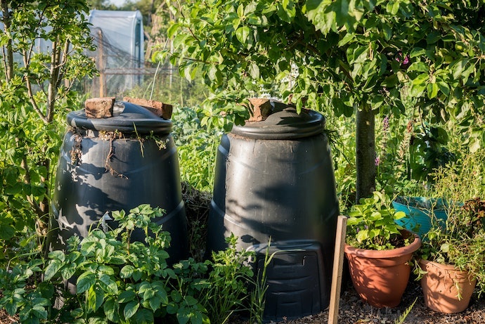 Compostable, Degradable or Biodegradable: What's the Difference?