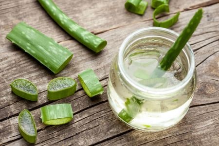 The Benefits of Aloe Vera Gel : Aloe Vera Has Potent Healing and Moisturising Properties That Are Useful for Treating Skin and Hair