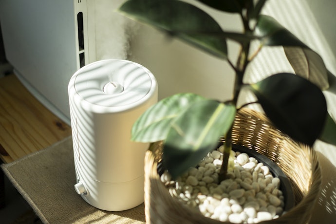 Decide on the Filtration System You Need by Identifying the Type of Pollutant You Want to Filter