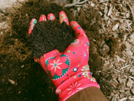 Select a Peat-Free Compost With Components to Suit Your Budget and Sustainability Goals