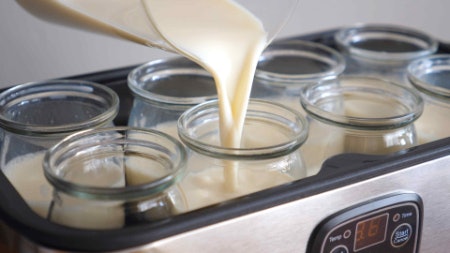 Choose the Style of Yoghurt Maker That Matches Your Skill Level