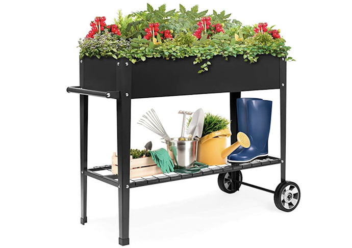 Select a Raised Garden Bed That Features a Shelf or Wheels to Make Your Growing Experience Easier