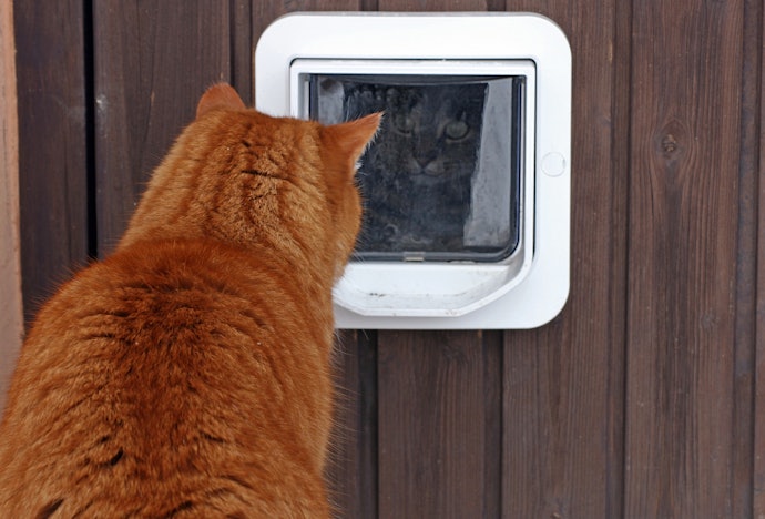 Pick a Cat Flap Made From Durable Materials Such as High-Grade ABS-Plastic or Metals Like Aluminium