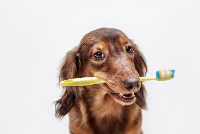 Choose a Brushing Method That's Practical and Easy for You to Use