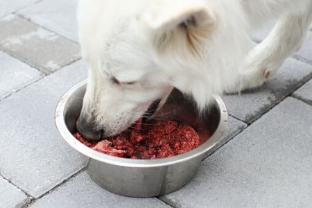 To Help Your Pet Stay Healhty, Look for Lean Meat With a Fat Content of 13% or Less