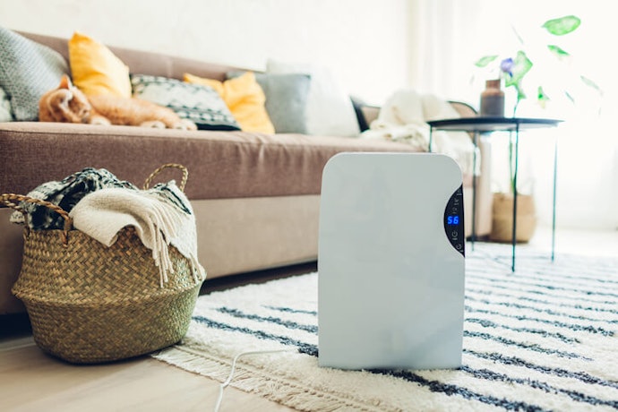 Select Your Purifier Based on Whether You Need to Cover a Personal Space, or One or Two Rooms