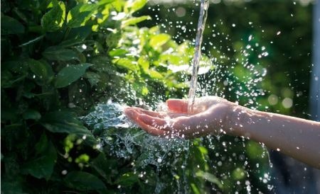 Look For Eco-Friendly Heads That Reduce Water Flow to Save Energy and Money