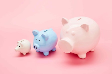 Decide on Your Budget Before Shopping for a Sustainable Toy