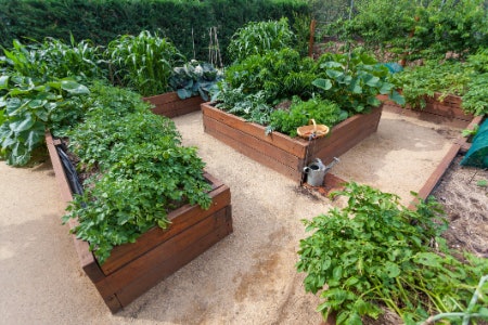 Pick a Garden Bed Made From Durable Materials Such as Wood, Plastic or Metal