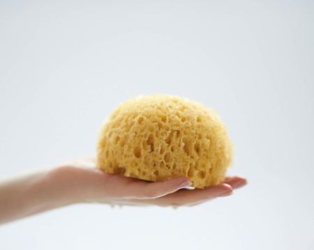 Consider a Wet Sponge for a Seamless Finish