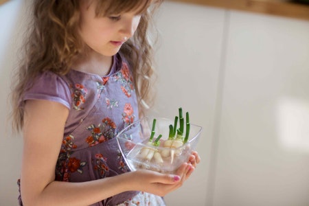 Make Sure You Choose a Zero-Waste Cookbook With a Theme That Centres on Reducing as Much Harmful Waste as Possible