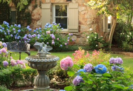 Choose a Pleasing Style and Colour That Enriches Your Garden and Reflects Your Tastes