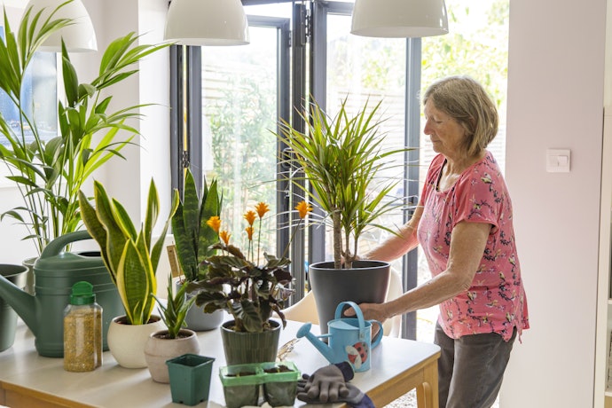 Decide on the Type of Plant Food Depending on Convenience, Value for Money and the Types of Plants You Have