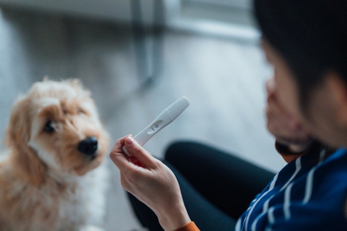 Consider Buying an Early Detection Test if You Don’t Want to Wait Until Your Missed Period