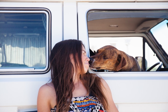 Decide on a Flavour ― Meaty Toothpastes Appeal to Pups Who Don’t Like Brushing, While Mint Tackles Bad Breath