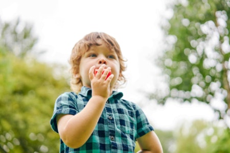 Make Sure the Toy Is Age-Appropriate